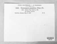 Image Associated With the Occurence